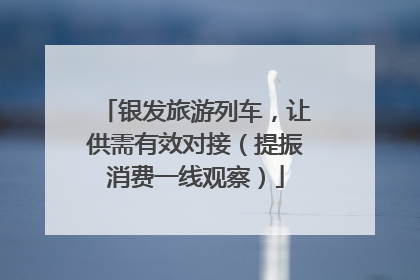 银发旅游列车，让供需有效对接（提振消费一线观察）