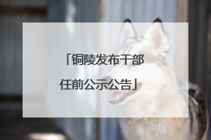 铜陵发布干部任前公示公告