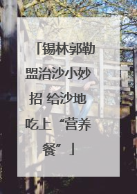 锡林郭勒盟治沙小妙招 给沙地吃上“营养餐”