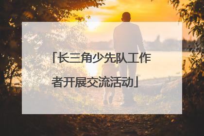 长三角少先队工作者开展交流活动