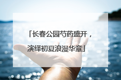 长春公园芍药盛开，演绎初夏浪漫华章