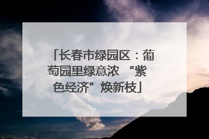 长春市绿园区：葡萄园里绿意浓 “紫色经济”焕新枝