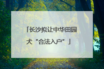 长沙拟让中华田园犬“合法入户”