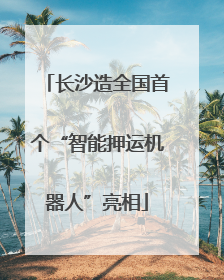 长沙造全国首个“智能押运机器人”亮相