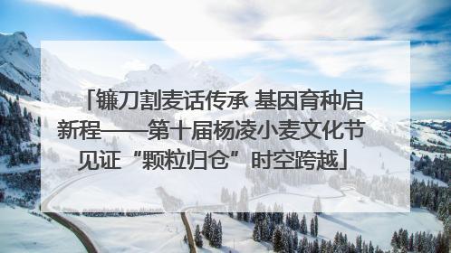 镰刀割麦话传承 基因育种启新程——第十届杨凌小麦文化节见证“颗粒归仓”时空跨越