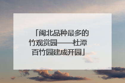 闽北品种最多的竹观赏园——杜潭百竹园建成开园