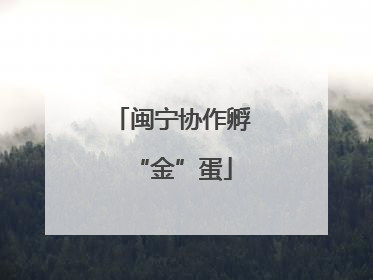 闽宁协作孵“金”蛋