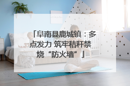 阜南县鹿城镇：多点发力 筑牢秸秆禁烧“防火墙”