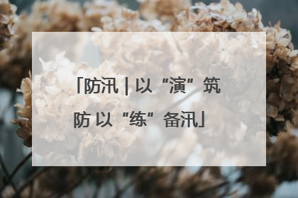 防汛｜以“演”筑防 以“练”备汛