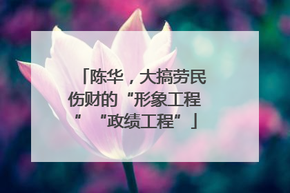 陈华，大搞劳民伤财的“形象工程”“政绩工程”