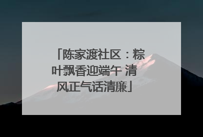 陈家渡社区：粽叶飘香迎端午 清风正气话清廉