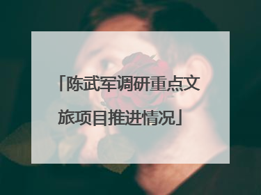 陈武军调研重点文旅项目推进情况