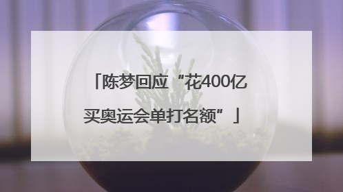 陈梦回应“花400亿买奥运会单打名额”