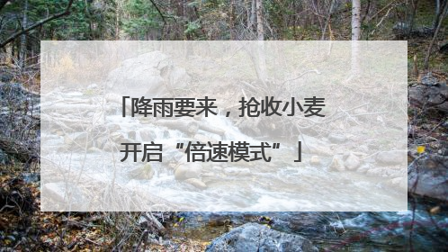 降雨要来，抢收小麦开启“倍速模式”