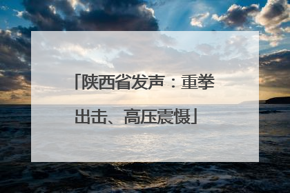 陕西省发声：重拳出击、高压震慑