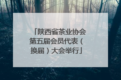 陕西省茶业协会第五届会员代表（换届）大会举行
