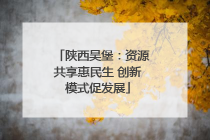 陕西吴堡：资源共享惠民生 创新模式促发展