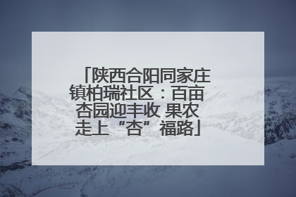 陕西合阳同家庄镇柏瑞社区：百亩杏园迎丰收 果农走上“杏”福路