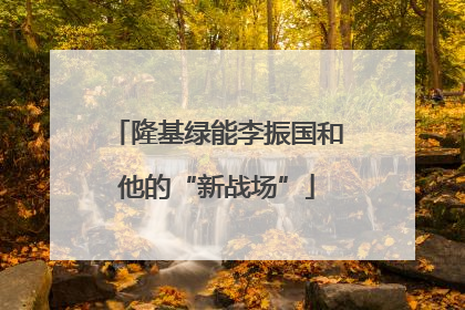 隆基绿能李振国和他的“新战场”