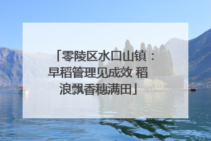 零陵区水口山镇：早稻管理见成效 稻浪飘香穗满田