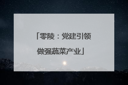 零陵：党建引领 做强蔬菜产业