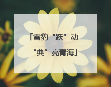 雪豹“跃”动 “典”亮青海
