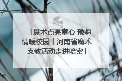 魔术点亮童心 豫疆情暖校园丨河南省魔术支教活动走进哈密