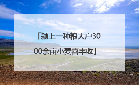 颍上一种粮大户3000余亩小麦喜丰收