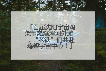 首届沈阳宇宙鸡架节燃爆浑河外滩，“老铁”们共赴鸡架宇宙中心！