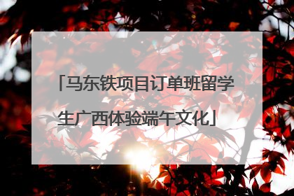 马东铁项目订单班留学生广西体验端午文化