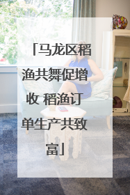 马龙区稻渔共舞促增收 稻渔订单生产共致富