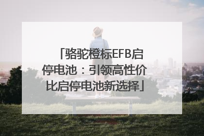 骆驼橙标EFB启停电池：引领高性价比启停电池新选择