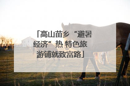 高山苗乡“避暑经济”热 特色旅游铺就致富路