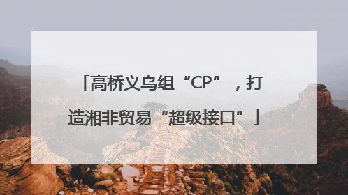 高桥义乌组“CP”，打造湘非贸易“超级接口”