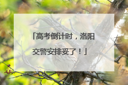 高考倒计时，洛阳交警安排妥了！