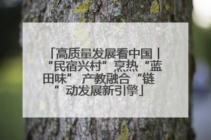 高质量发展看中国丨“民宿兴村”烹热“蓝田味” 产教融合“链”动发展新引擎