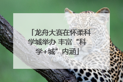 龙舟大赛在怀柔科学城举办 丰富“科学+城”内涵
