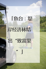 鱼台：堤岸经济林结出“致富果”