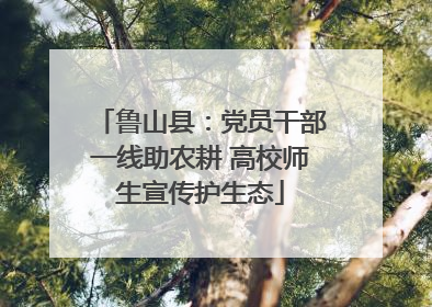 鲁山县：党员干部一线助农耕 高校师生宣传护生态