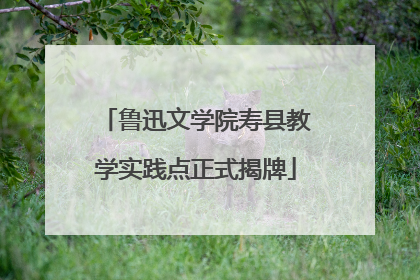 鲁迅文学院寿县教学实践点正式揭牌
