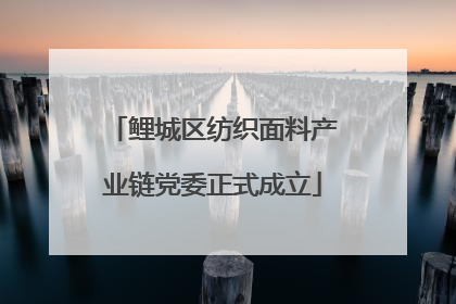 鲤城区纺织面料产业链党委正式成立