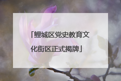 鲤城区党史教育文化街区正式揭牌
