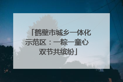 鹤壁市城乡一体化示范区：一粽一童心 双节共缤纷