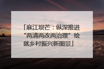 麻江坝芒：纵深推进“两清两改两治理”绘就乡村振兴新图景