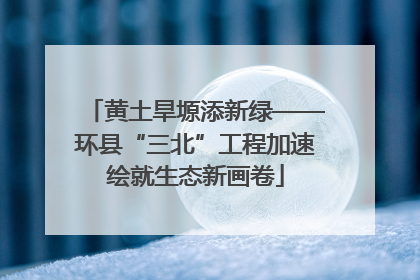 黄土旱塬添新绿——环县“三北”工程加速绘就生态新画卷