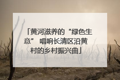 黄河滋养的“绿色生意” 唱响长清区沿黄村的乡村振兴曲