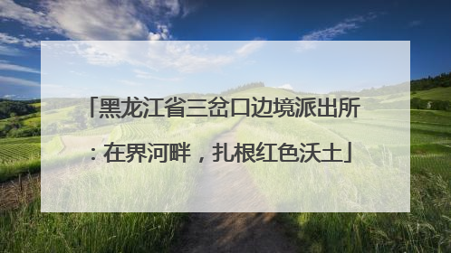 黑龙江省三岔口边境派出所：在界河畔，扎根红色沃土
