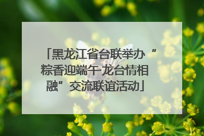 黑龙江省台联举办“粽香迎端午·龙台情相融”交流联谊活动