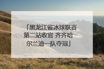 黑龙江省冰球联赛第二站收官 齐齐哈尔兰迪一队夺冠