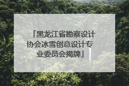 黑龙江省勘察设计协会冰雪创意设计专业委员会揭牌